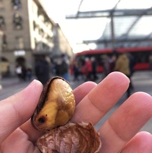 Meet your Posher, Ann